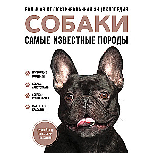 Psy. Najbardziej znane rasy. Wielka ilustrowana encyklopedia