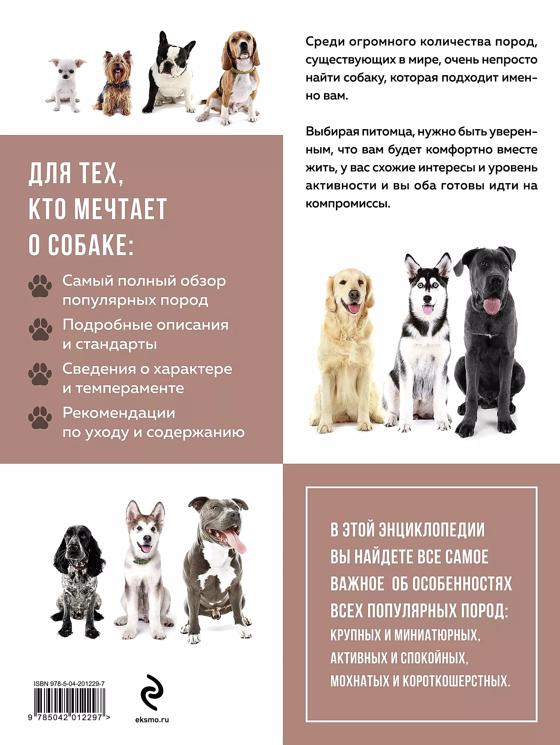Psy. Najbardziej znane rasy. Wielka ilustrowana encyklopedia