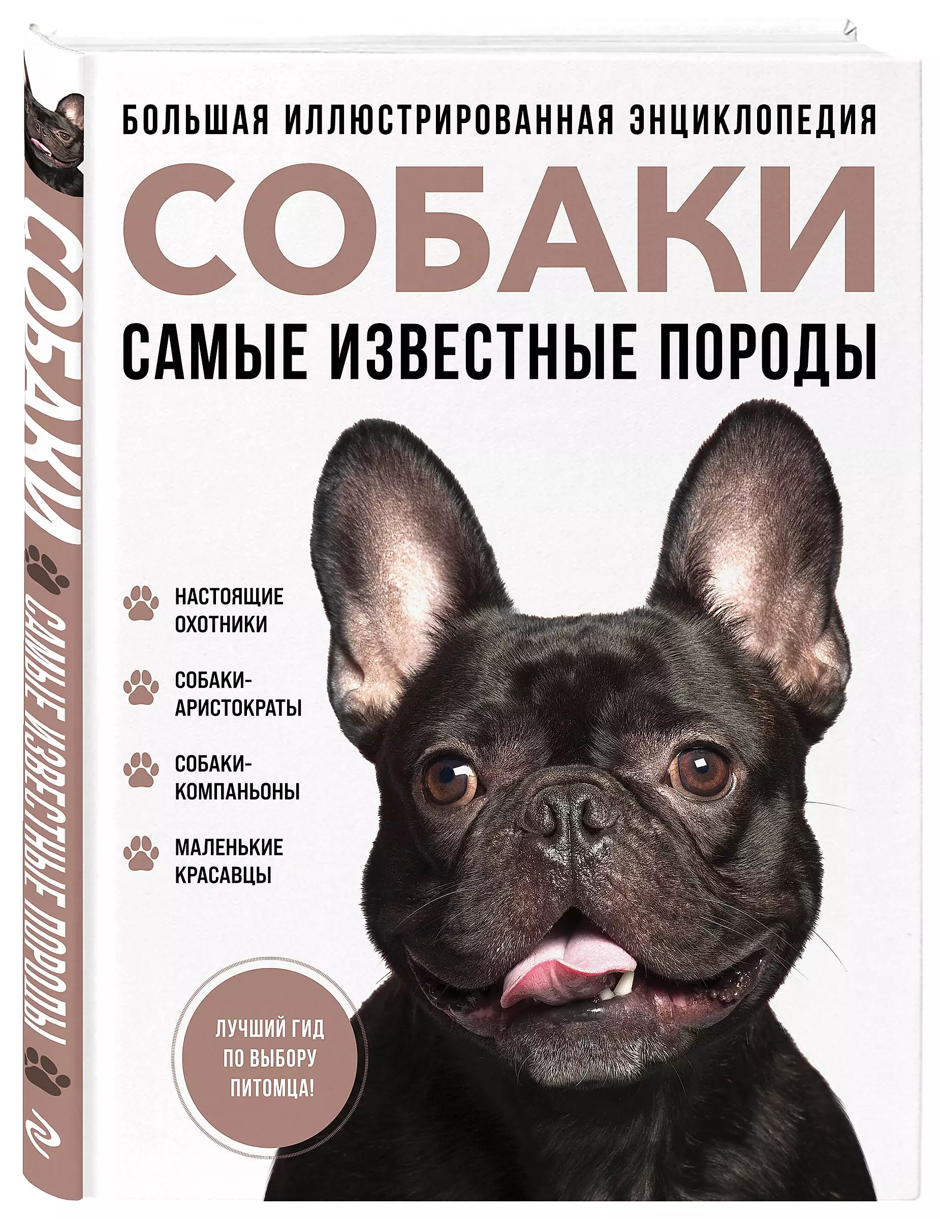 Psy. Najbardziej znane rasy. Wielka ilustrowana encyklopedia