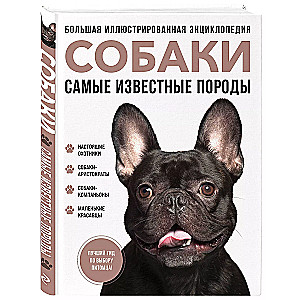 Psy. Najbardziej znane rasy. Wielka ilustrowana encyklopedia