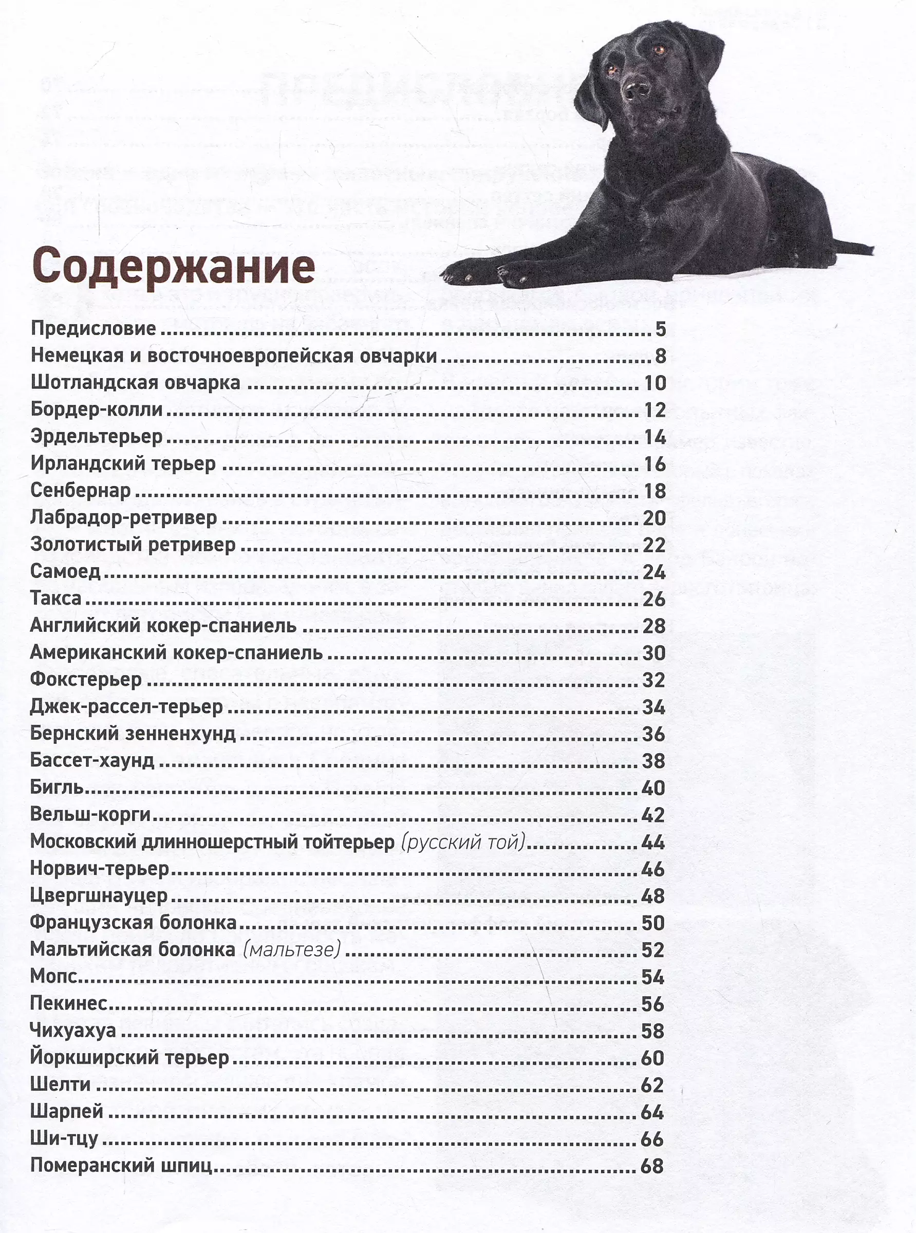 Psy. Najbardziej znane rasy. Wielka ilustrowana encyklopedia