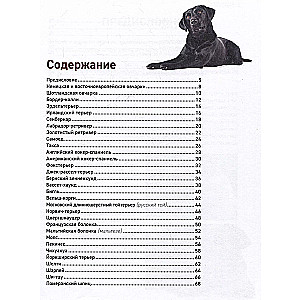Psy. Najbardziej znane rasy. Wielka ilustrowana encyklopedia
