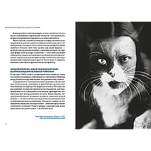 Bestiary. Animals in Rituals, Art, and Folklore