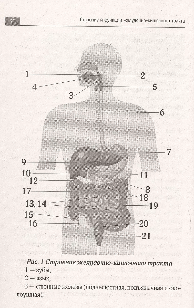 The Big Book About Food That Brings Health. The Theory of Systemic Nutrition. The Most Detailed Guide to Smart Choices, Preparation, and Consumption of Food