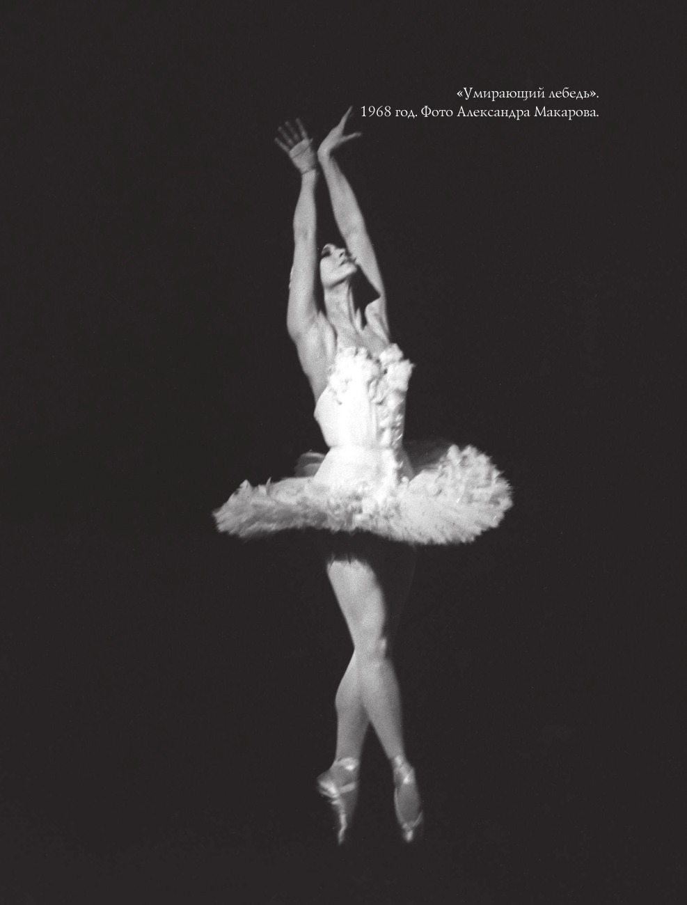 Maya Plisetskaya. Five Days with a Legend. A Documentary History