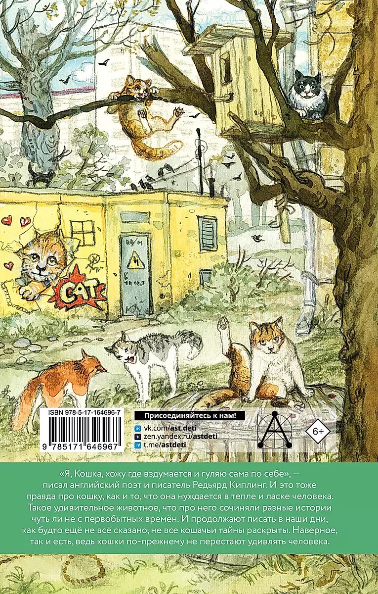 Das große Katzenbuch