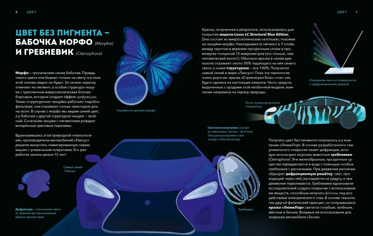 Dzikie wynalazki. 40 technologii podarowanych nam przez naturę