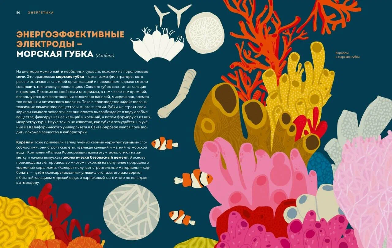 Dzikie wynalazki. 40 technologii podarowanych nam przez naturę