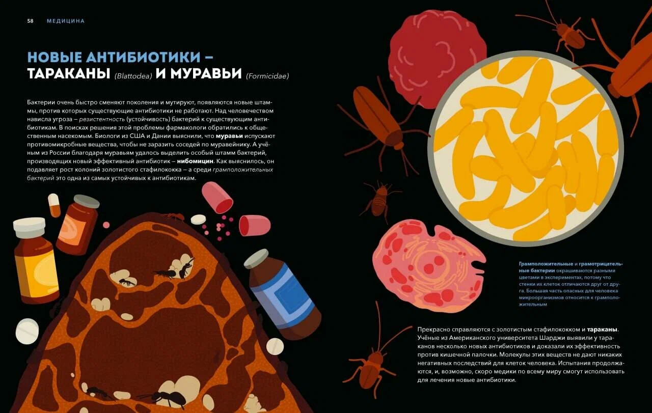 Dzikie wynalazki. 40 technologii podarowanych nam przez naturę