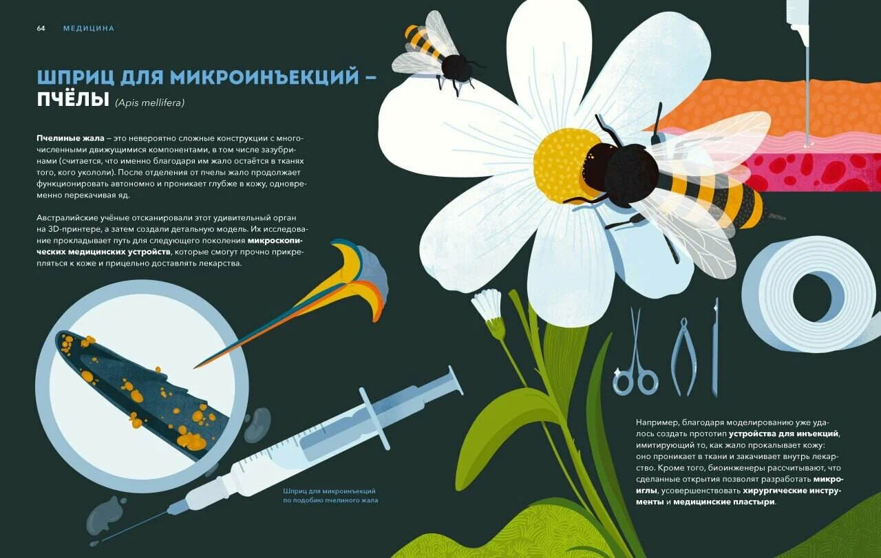 Dzikie wynalazki. 40 technologii podarowanych nam przez naturę