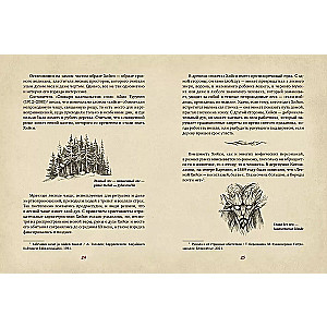 Karelian Gods. 300 Years before Kalevala. Ancient Codex