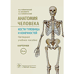 Cilvēka anatomija. Ķermeņa un ekstremitāšu kauli