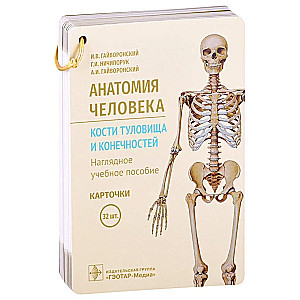 Cilvēka anatomija. Ķermeņa un ekstremitāšu kauli