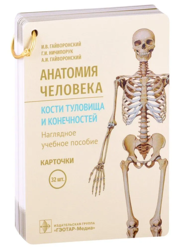 Cilvēka anatomija. Ķermeņa un ekstremitāšu kauli