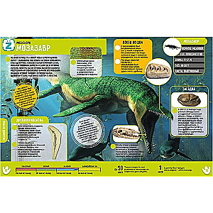 Dinozauri. 250 neticamu faktu