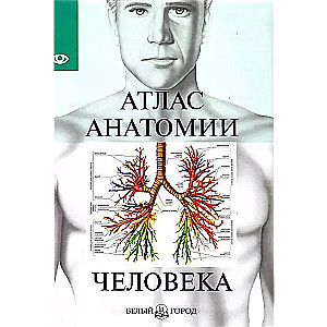 Atlas of Human Anatomy