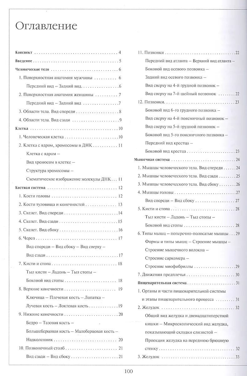 Atlas of Human Anatomy