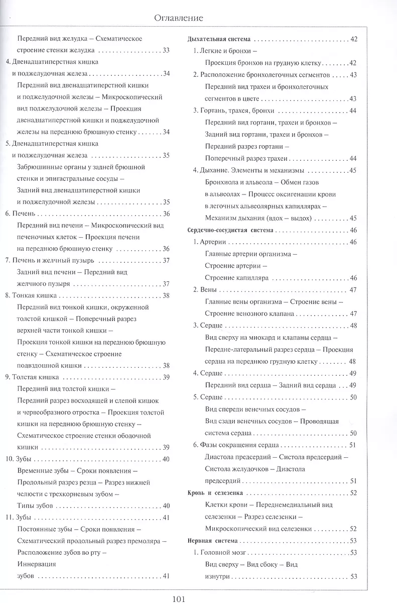 Atlas of Human Anatomy