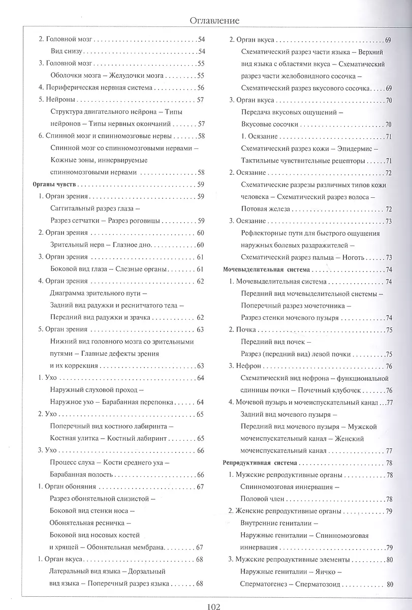 Atlas of Human Anatomy