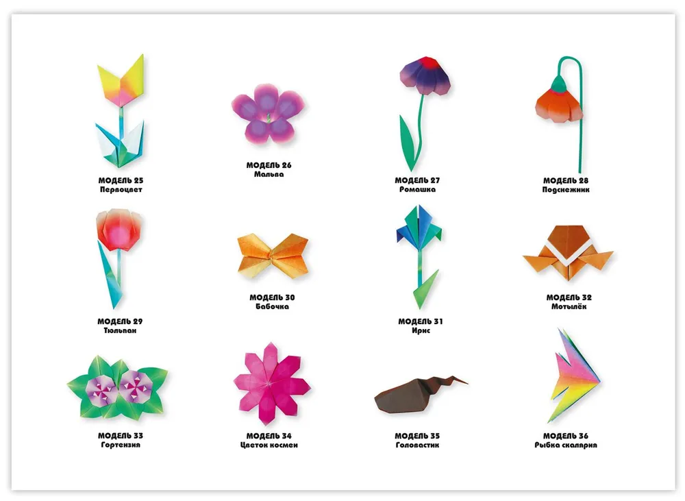 Origami dla początkujących (z zestawem kolorowego papieru). 30 modeli