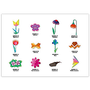 Origami dla początkujących (z zestawem kolorowego papieru). 30 modeli