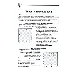 The Basics of Chess