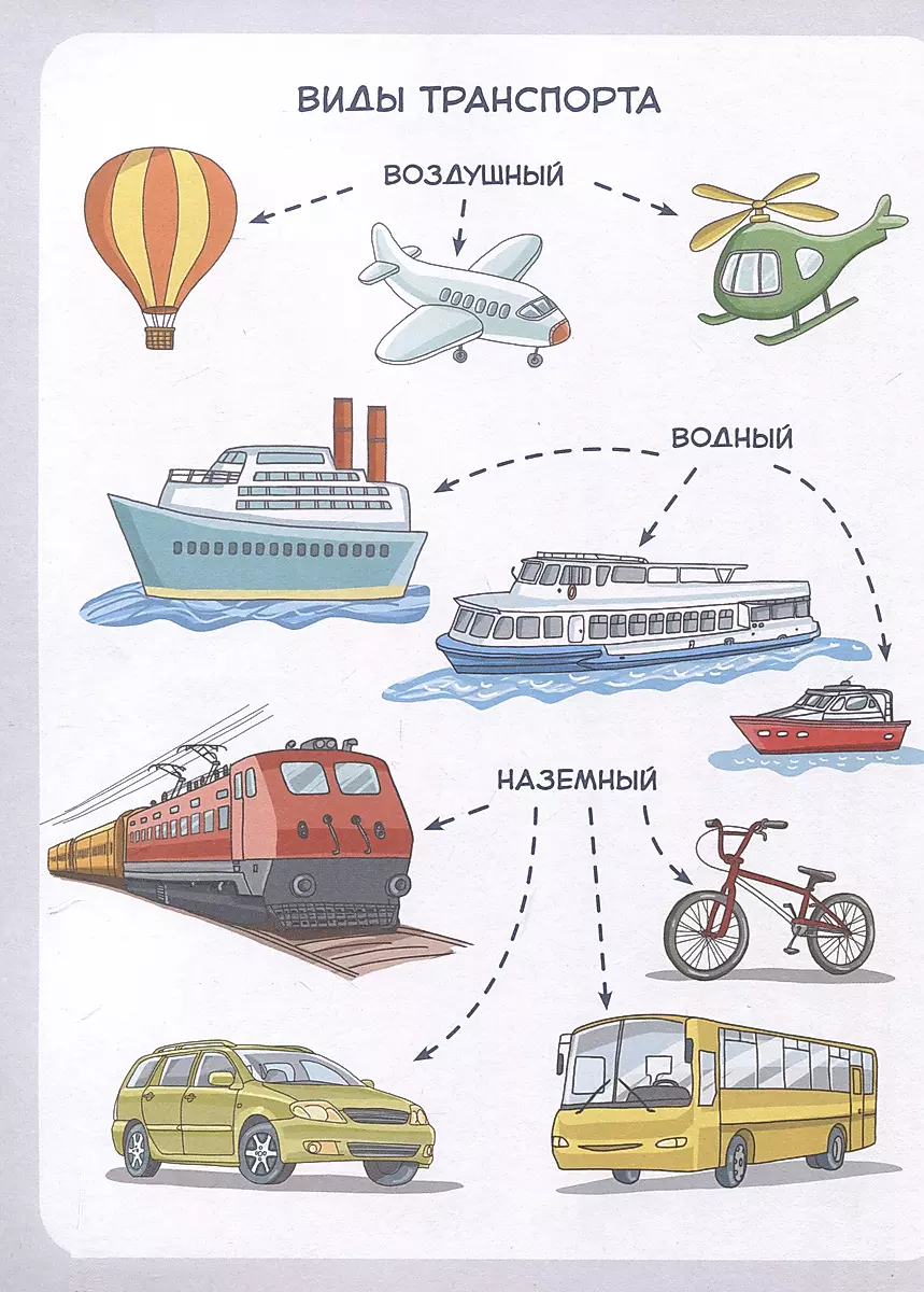 Samochody i transport. Dziecięca encyklopedia