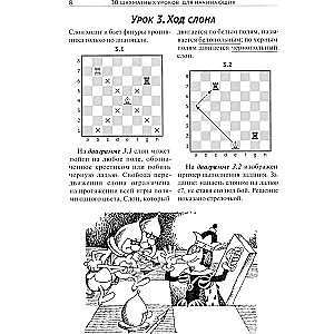 30 Chess Lessons for Beginners