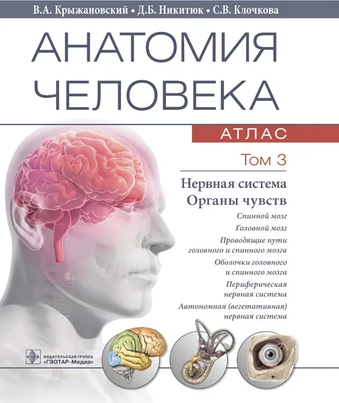 Human Anatomy. Atlas in 3 Volumes. Volume 3. Nervous System. Sensory Organs