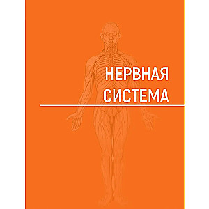 Cilvēka anatomija. Atlants 3 sējumos. 3. sējums. Nervu sistēma. Sajūtu orgāni