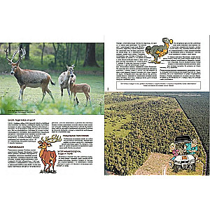 Zoo wygasłych zwierząt. Tom 1