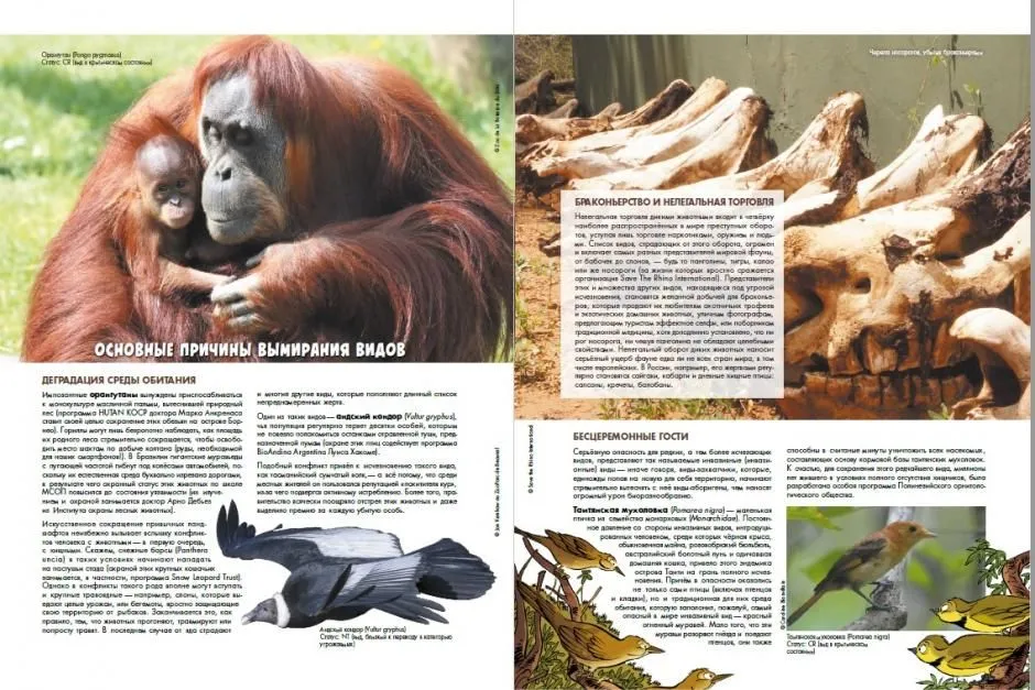 Zoo wygasłych zwierząt. Tom 1