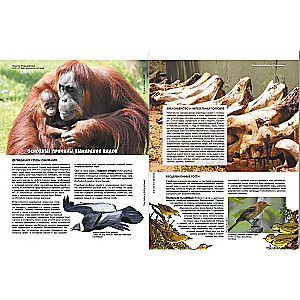 Zoo wygasłych zwierząt. Tom 1