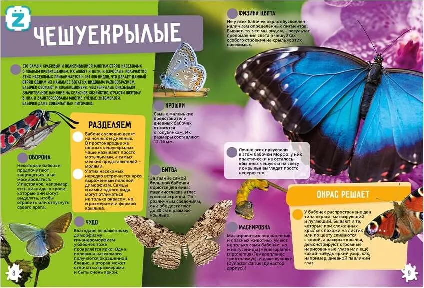Owady i pajęczaki. Niezwykłe fakty