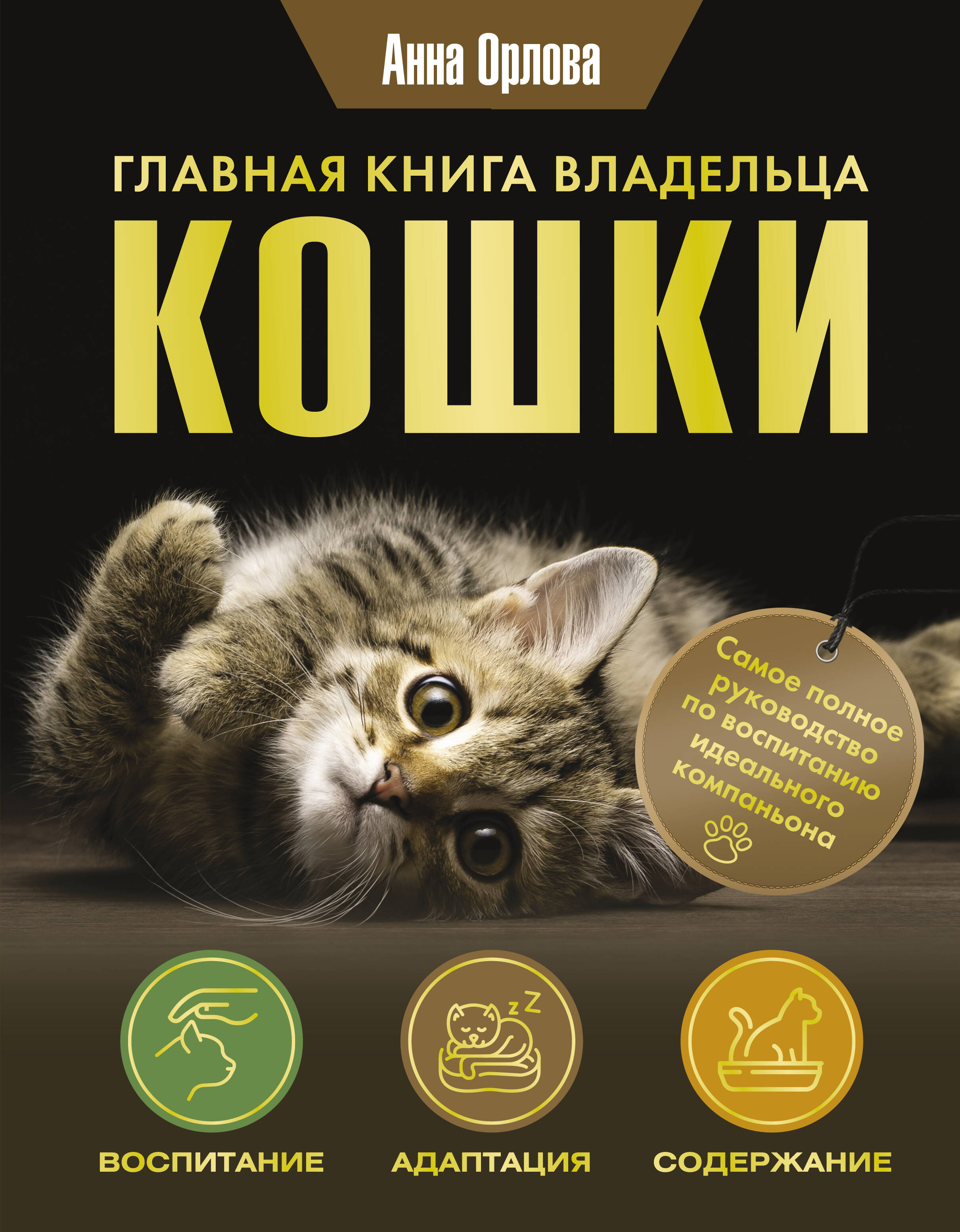 Główna książka właściciela kota