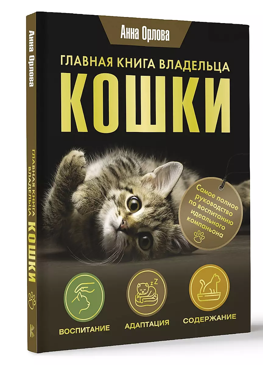 Główna książka właściciela kota