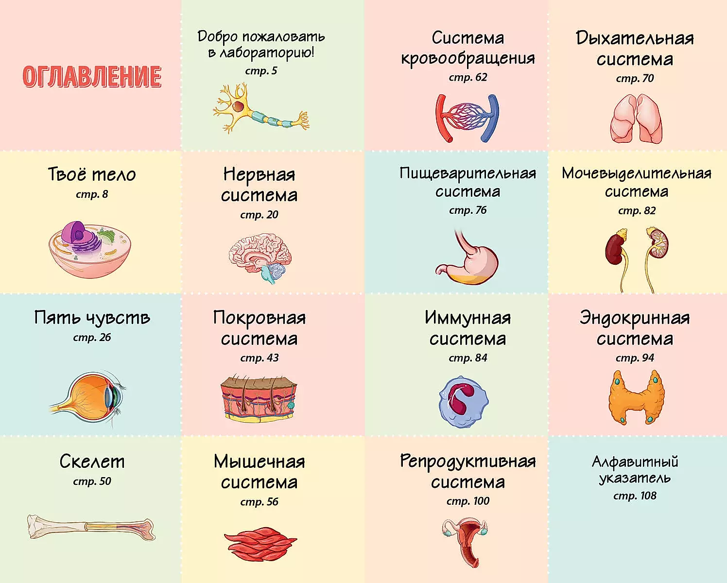The Human Body. Home Laboratory for Kids