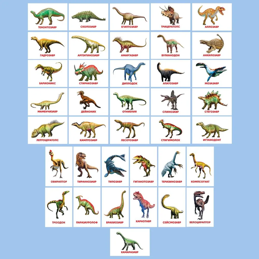 Karty rozwojowe Dinozaury