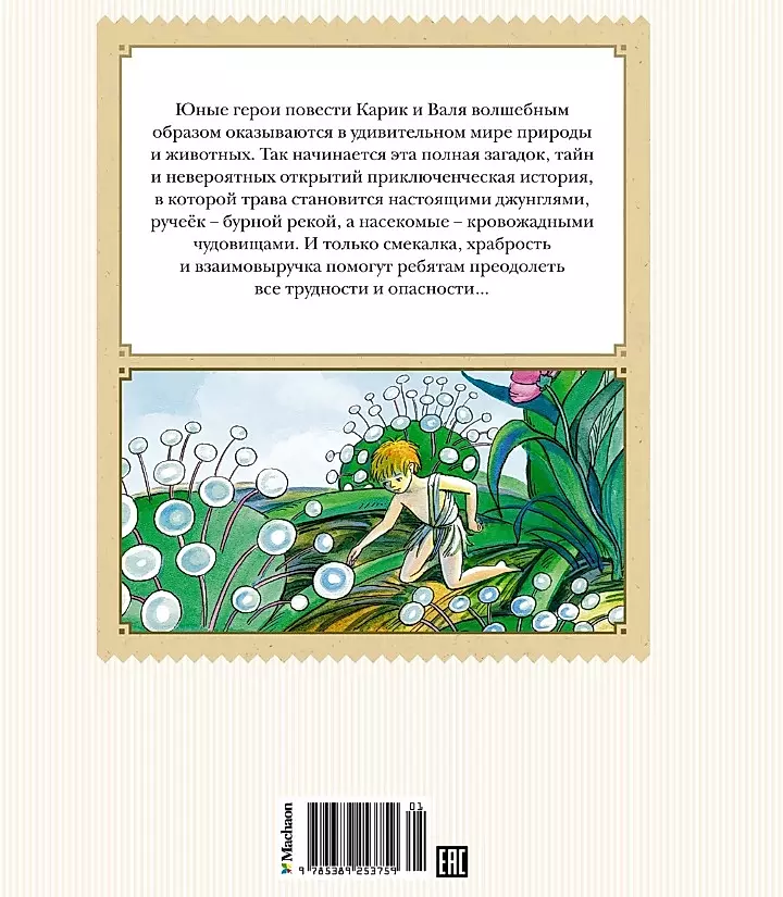 Niezwykłe przygody Karika i Wali