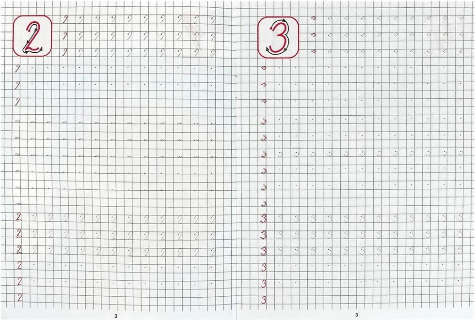 Calligraphic Writing. Writing Numbers