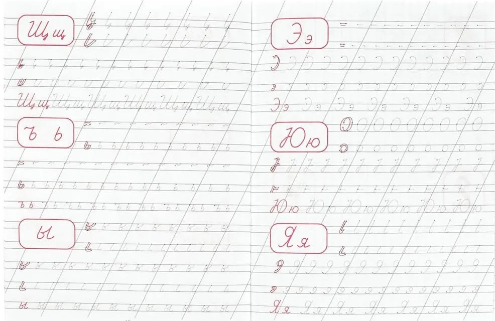 Пишем буквы и цифры. Каллиграфическая пропись. 145х195 мм. Скрепка. 16 стр.
