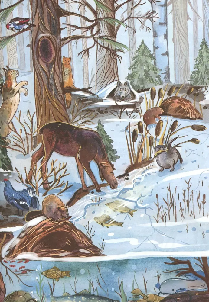 No ziemas uz vasaru. Kā dzīvo meža zvēri