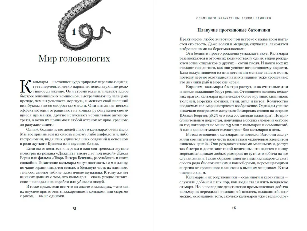 Octopuses, Cuttlefish, Hellish Vampires. 500 Million Years of Cephalopod History