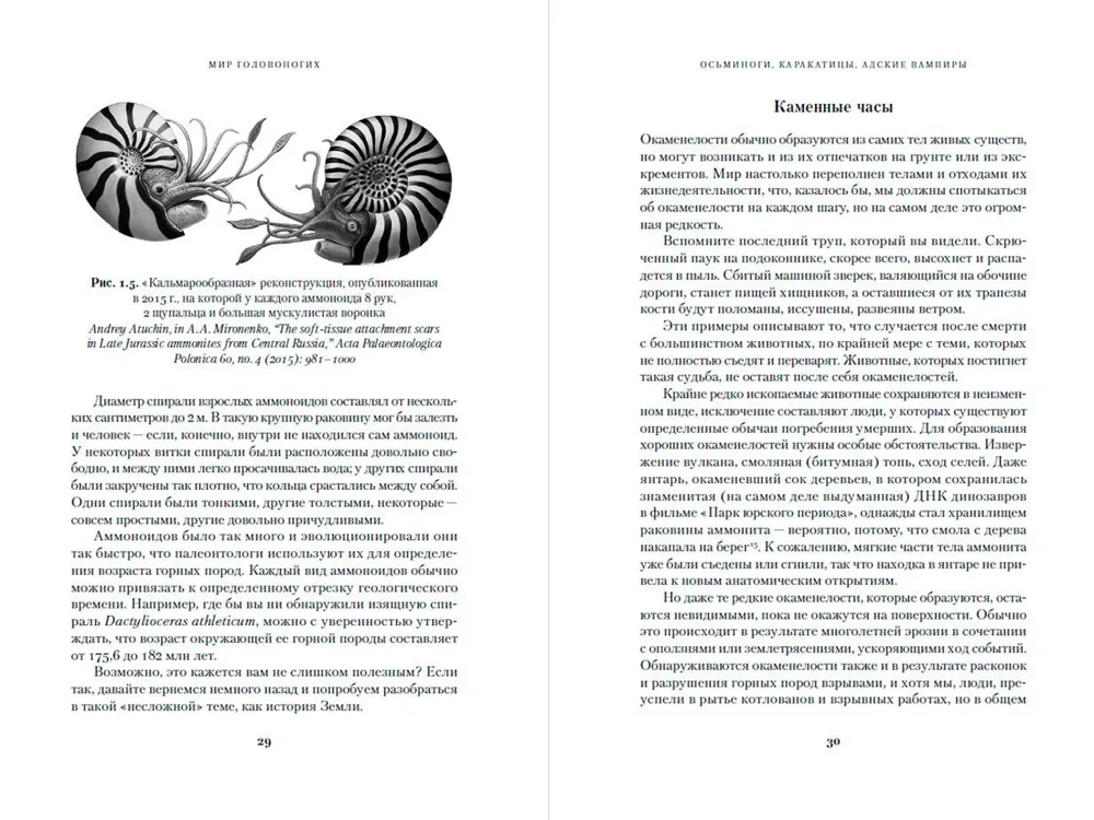 Octopuses, Cuttlefish, Hellish Vampires. 500 Million Years of Cephalopod History