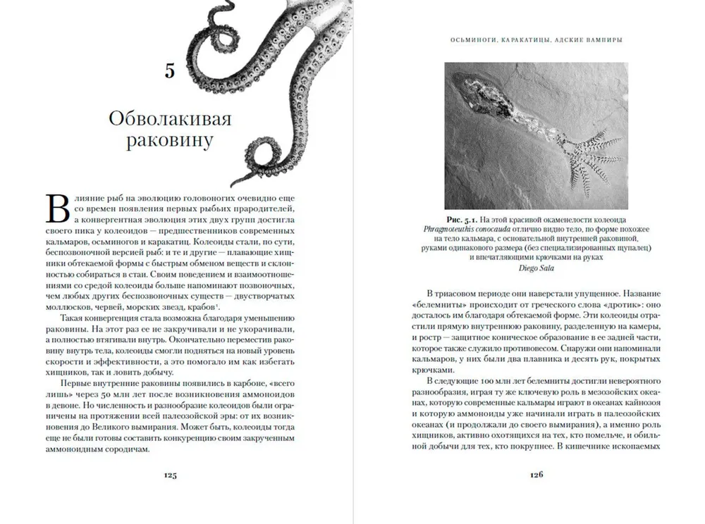 Octopuses, Cuttlefish, Hellish Vampires. 500 Million Years of Cephalopod History