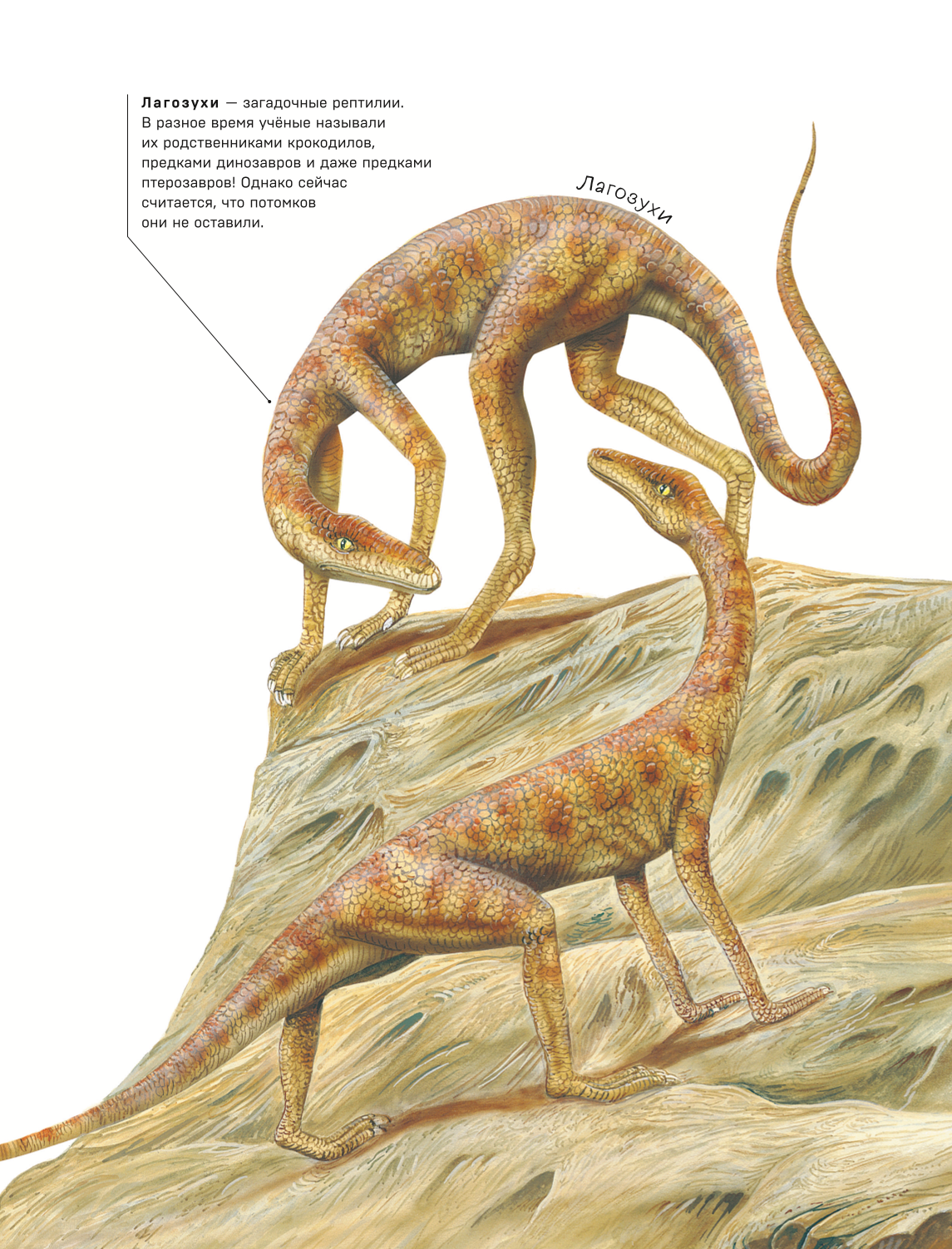 Dinozaury. Najnowocześniejsza encyklopedia o pradawnych jaszczurach
