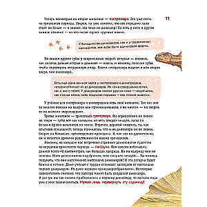 Dinozaury. Najnowocześniejsza encyklopedia o pradawnych jaszczurach