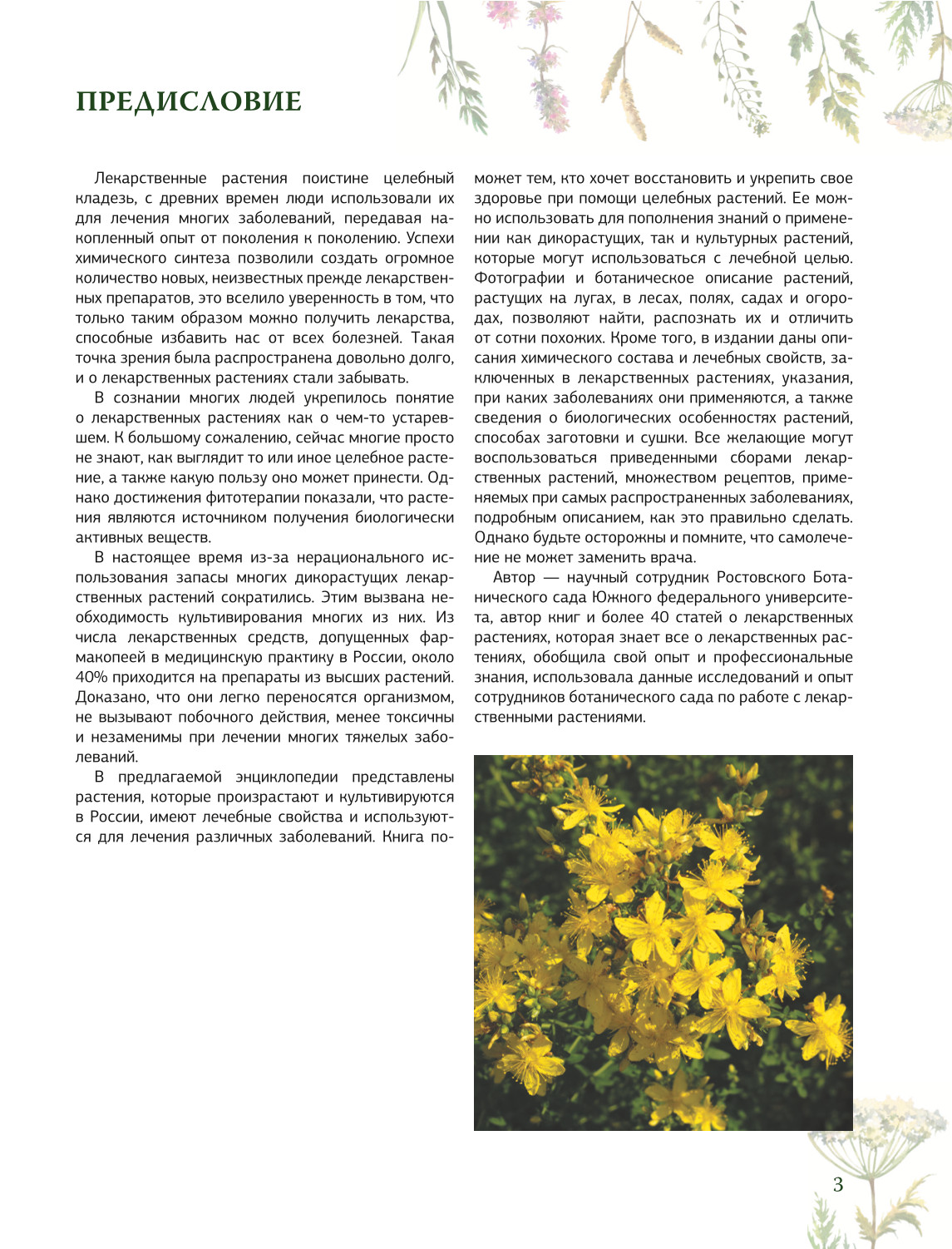 Herbalist. The Great Encyclopedia of Medicinal Plants