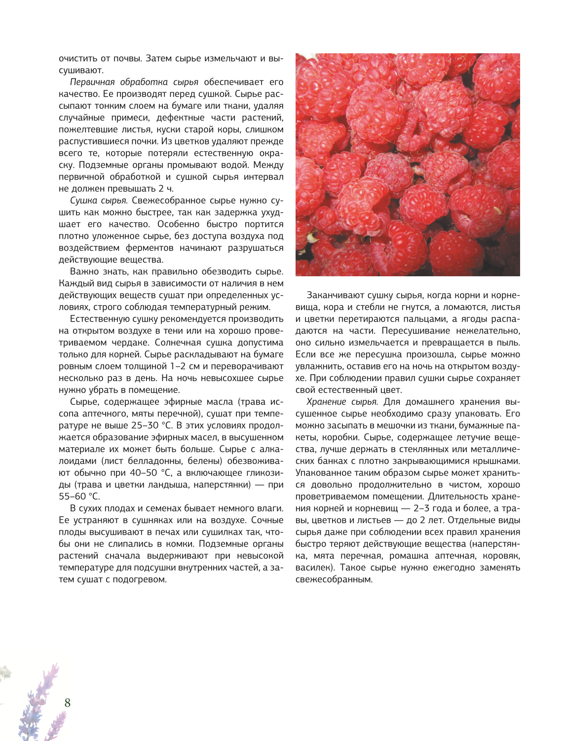 Herbalist. The Great Encyclopedia of Medicinal Plants