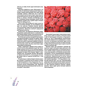 Herbalist. The Great Encyclopedia of Medicinal Plants